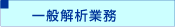 一般解析業務