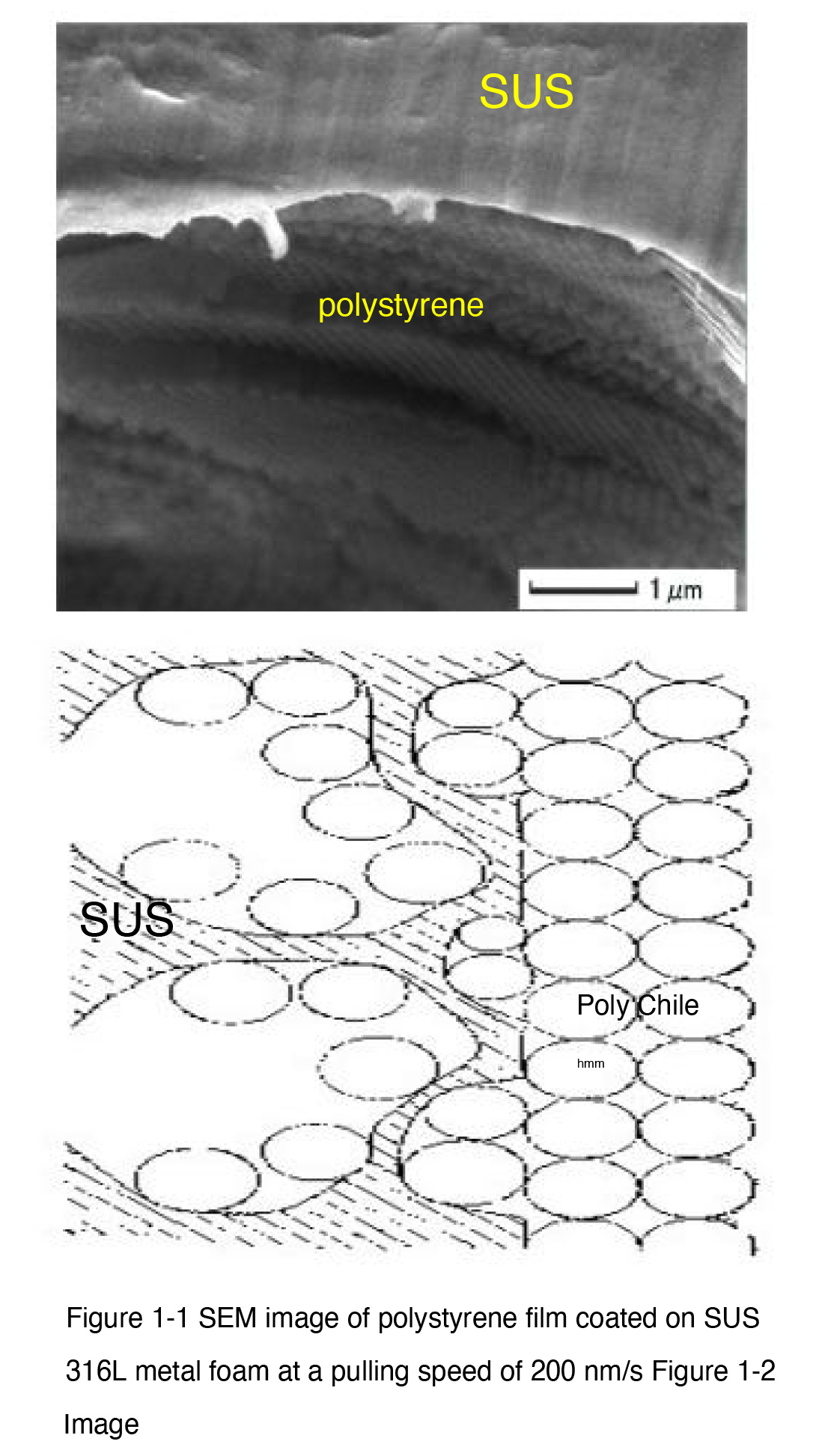 Figure 1-1 SEM image of polystyrene film coated on SUS
316L metal foam at a pulling speed of 200 nm/s Figure 1-2
Image